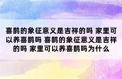 喜鹊的象征意义是吉祥的吗 家里可以养喜鹊吗 喜鹊的象征意义是吉祥的吗 家里可以养喜鹊吗为什么